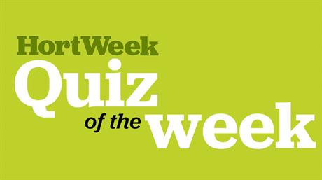 HortWeek Quiz of the Week - 21/10/25 edition